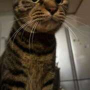 ヒメ日記 2025/01/13 23:23 投稿 かれん フェアリードール