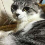 ヒメ日記 2025/01/18 10:03 投稿 かれん フェアリードール