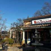 ヒメ日記 2025/03/11 08:20 投稿 かれん フェアリードール