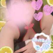 ヒメ日記 2025/03/19 18:23 投稿 かれん フェアリードール