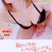 ヒメ日記 2024/12/27 15:05 投稿 じゅり 僕の◯◯なお姉さん、お貸しします