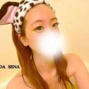 ヒメ日記 2025/04/18 09:01 投稿 西園寺　セナ クラブ　ブレンダ茨木・枚方店