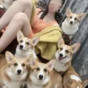 ヒメ日記 2025/11/26 11:06 投稿 西園寺　セナ クラブ　ブレンダ茨木・枚方店