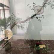 ヒメ日記 2026/01/15 23:23 投稿 さやか 英乃國屋