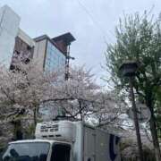 ヒメ日記 2026/04/08 12:16 投稿 さやか 英乃國屋