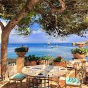 ヒメ日記 2025/03/30 01:16 投稿 さゆみ 性腺熟女100％（デリヘル市場）