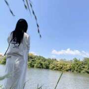 ヒメ日記 2026/05/12 01:37 投稿 綾香(あやか) Chaleur (シャルール)