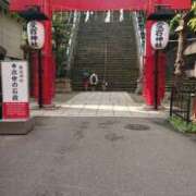 ヒメ日記 2025/01/17 08:00 投稿 赤西 熟女デリヘル倶楽部