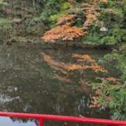 ヒメ日記 2025/01/25 20:25 投稿 赤西 熟女デリヘル倶楽部