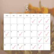 ヒメ日記 2025/04/27 23:20 投稿 えりか Sakura Spa