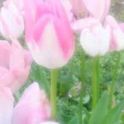 ヒメ日記 2025/02/09 09:29 投稿 あやみ 奥様はエンジェル　国分寺店