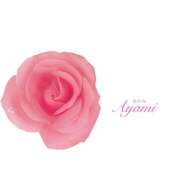 ヒメ日記 2025/10/30 07:57 投稿 あやみ 奥様はエンジェル　国分寺店