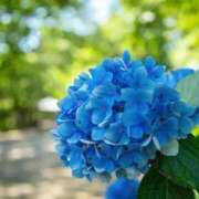 ヒメ日記 2025/06/19 18:07 投稿 つきこさん いけない奥さん 梅田店