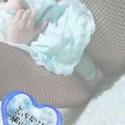 ヒメ日記 2024/12/18 13:55 投稿 きょうこ 栃木宇都宮ちゃんこ