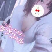 ヒメ日記 2024/12/19 12:05 投稿 きょうこ 栃木宇都宮ちゃんこ