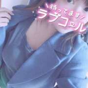 ヒメ日記 2024/12/24 11:55 投稿 きょうこ 栃木宇都宮ちゃんこ