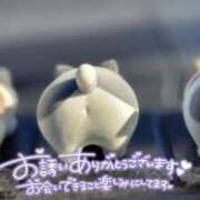 ヒメ日記 2025/01/05 11:45 投稿 きょうこ 栃木宇都宮ちゃんこ