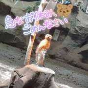 ヒメ日記 2025/01/24 07:45 投稿 きょうこ 栃木宇都宮ちゃんこ