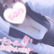 ヒメ日記 2025/01/29 12:17 投稿 きょうこ 栃木宇都宮ちゃんこ