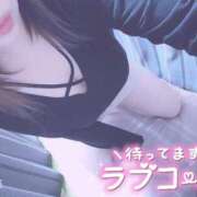 ヒメ日記 2025/03/17 18:05 投稿 きょうこ 栃木宇都宮ちゃんこ