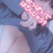 ヒメ日記 2025/03/18 09:26 投稿 きょうこ 栃木宇都宮ちゃんこ