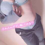 ヒメ日記 2025/03/20 17:15 投稿 きょうこ 栃木宇都宮ちゃんこ