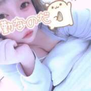 ヒメ日記 2025/03/21 12:15 投稿 きょうこ 栃木宇都宮ちゃんこ