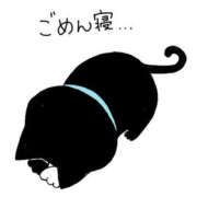 ヒメ日記 2025/03/23 11:45 投稿 きょうこ 栃木宇都宮ちゃんこ