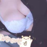 ヒメ日記 2025/03/27 22:25 投稿 きょうこ 栃木宇都宮ちゃんこ