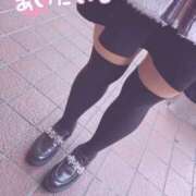 ヒメ日記 2025/03/30 10:55 投稿 きょうこ 栃木宇都宮ちゃんこ