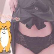 ヒメ日記 2025/04/05 08:55 投稿 きょうこ 栃木宇都宮ちゃんこ