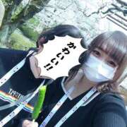 ヒメ日記 2025/04/07 12:55 投稿 きょうこ 栃木宇都宮ちゃんこ