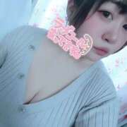 ヒメ日記 2025/04/07 17:35 投稿 きょうこ 栃木宇都宮ちゃんこ