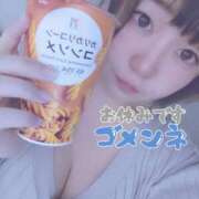 ヒメ日記 2025/04/10 19:12 投稿 きょうこ 栃木宇都宮ちゃんこ