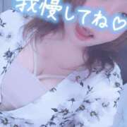 ヒメ日記 2025/06/06 21:35 投稿 きょうこ 栃木宇都宮ちゃんこ