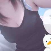 ヒメ日記 2025/06/10 18:15 投稿 きょうこ 栃木宇都宮ちゃんこ