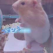 ヒメ日記 2025/06/15 22:05 投稿 きょうこ 栃木宇都宮ちゃんこ