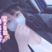 ヒメ日記 2025/06/17 14:00 投稿 きょうこ 栃木宇都宮ちゃんこ