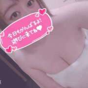 ヒメ日記 2025/06/19 06:55 投稿 きょうこ 栃木宇都宮ちゃんこ