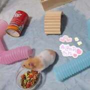 ヒメ日記 2025/07/03 13:55 投稿 きょうこ 栃木宇都宮ちゃんこ