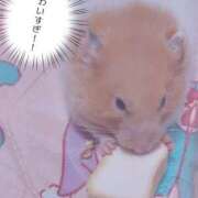 ヒメ日記 2025/07/06 22:35 投稿 きょうこ 栃木宇都宮ちゃんこ