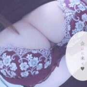 ヒメ日記 2025/07/18 18:45 投稿 きょうこ 栃木宇都宮ちゃんこ