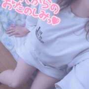 ヒメ日記 2025/07/23 13:15 投稿 きょうこ 栃木宇都宮ちゃんこ