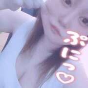 ヒメ日記 2025/07/23 16:55 投稿 きょうこ 栃木宇都宮ちゃんこ