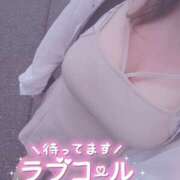 ヒメ日記 2025/08/02 11:35 投稿 きょうこ 栃木宇都宮ちゃんこ