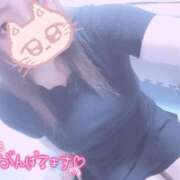 ヒメ日記 2025/08/26 11:05 投稿 きょうこ 栃木宇都宮ちゃんこ