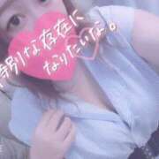 ヒメ日記 2025/08/28 16:05 投稿 きょうこ 栃木宇都宮ちゃんこ