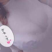 ヒメ日記 2025/08/29 14:35 投稿 きょうこ 栃木宇都宮ちゃんこ