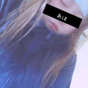 ヒメ日記 2025/09/02 11:35 投稿 きょうこ 栃木宇都宮ちゃんこ