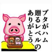 ヒメ日記 2025/09/06 23:05 投稿 きょうこ 栃木宇都宮ちゃんこ